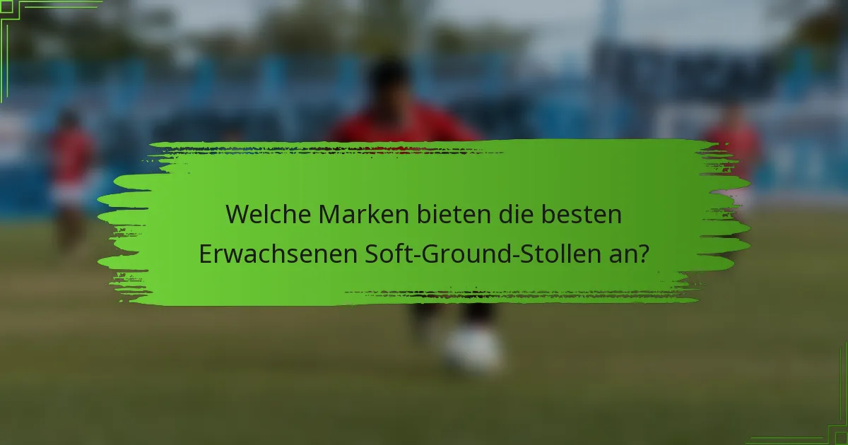 Welche Marken bieten die besten Erwachsenen Soft-Ground-Stollen an?