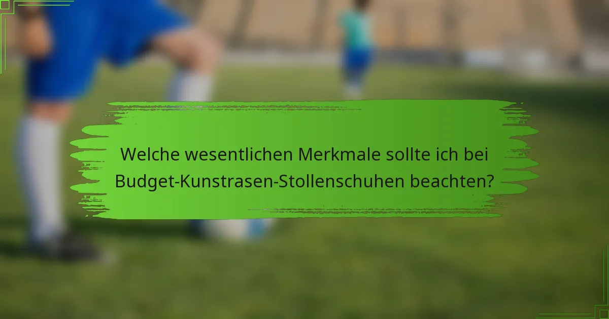 Welche wesentlichen Merkmale sollte ich bei Budget-Kunstrasen-Stollenschuhen beachten?